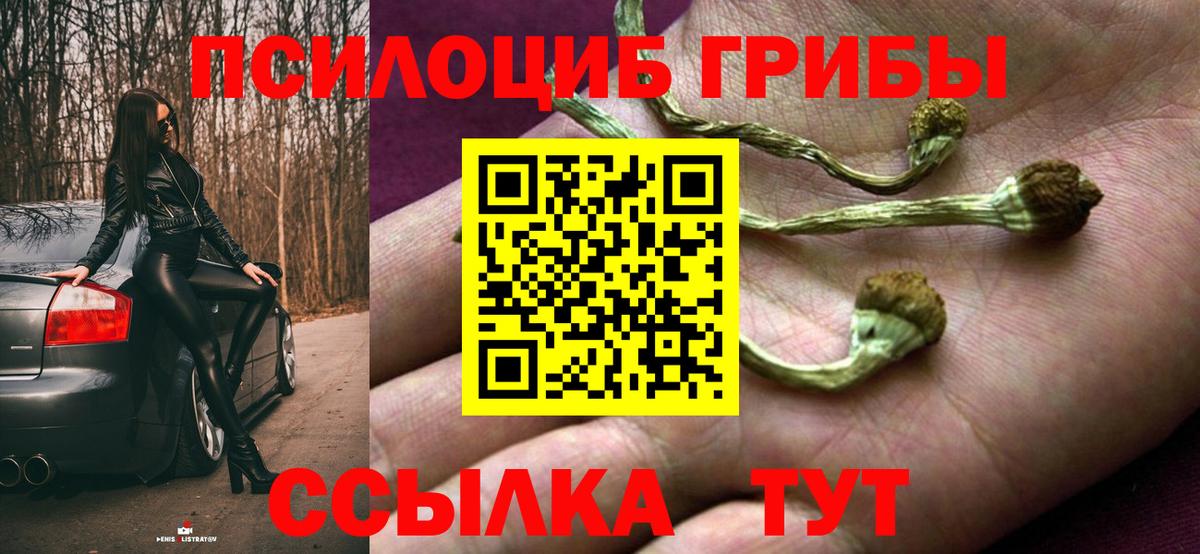 Краснокаменск  Псилоцибиновые грибы GOLDEN TEACHER  Вход с VPN  Псилоцибиновые грибы GOLDEN TEACHER 